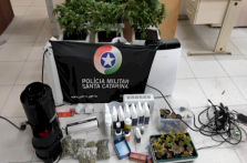 PM apreende estufa com plantação de maconha no Rio Tavares