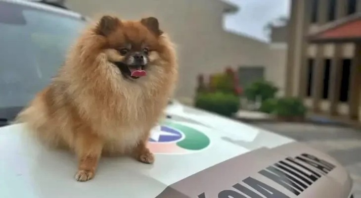 Polícia Militar recupera Maru