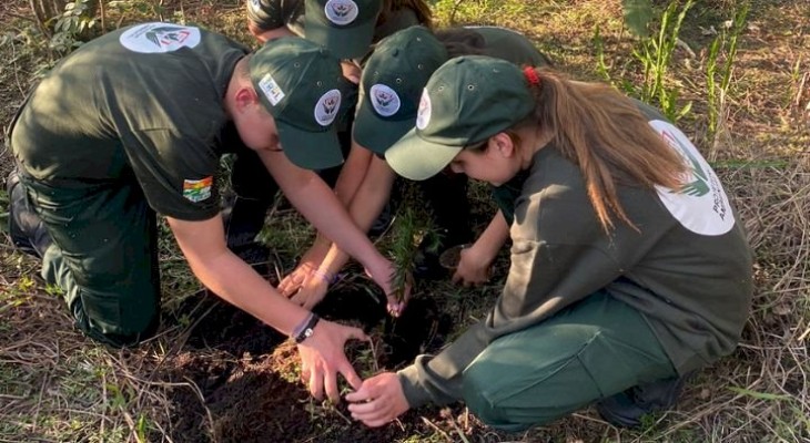 Dia da Árvore: Polícia Ambiental divulga cronograma de ações