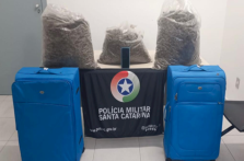 Polícia Militar apreende mais de 10kg de skunk na Capital