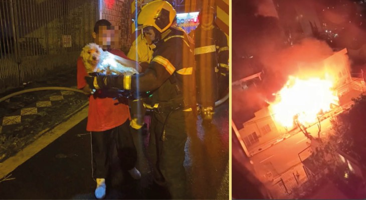 Cães morrem em incêndio em uma casa no Morro da Cruz